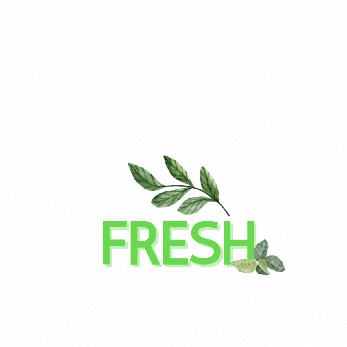 So Fresh